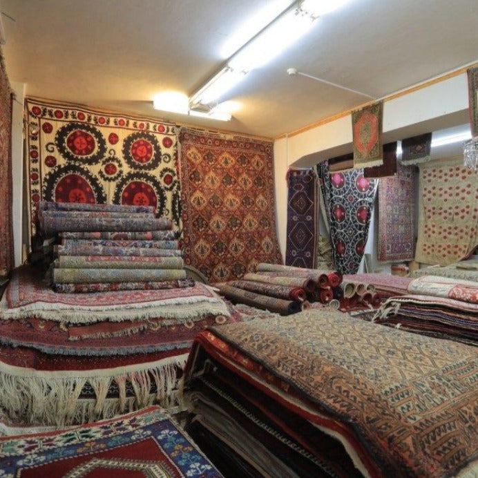 Vintage from the 20th Century - Rare Persian Rug with Medallion for Home Design. - Ghatan Antique